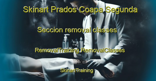 Skinart Prados Coapa Segunda Seccion removal classes | #RemovalTraining #RemovalClasses #SkinartTraining-Mexico