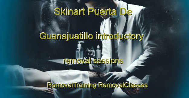 Skinart Puerta De Guanajuatillo introductory removal sessions | #RemovalTraining #RemovalClasses #SkinartTraining-Mexico