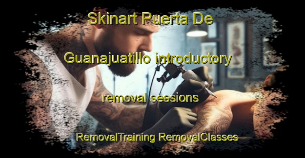 Skinart Puerta De Guanajuatillo introductory removal sessions | #RemovalTraining #RemovalClasses #SkinartTraining-Mexico