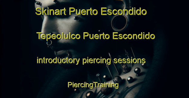 Skinart Puerto Escondido  Tepeolulco Puerto Escondido introductory piercing sessions | #PiercingTraining #PiercingClasses #SkinartTraining-Mexico