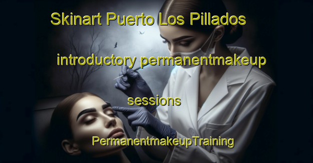 Skinart Puerto Los Pillados introductory permanentmakeup sessions | #PermanentmakeupTraining #PermanentmakeupClasses #SkinartTraining-Mexico