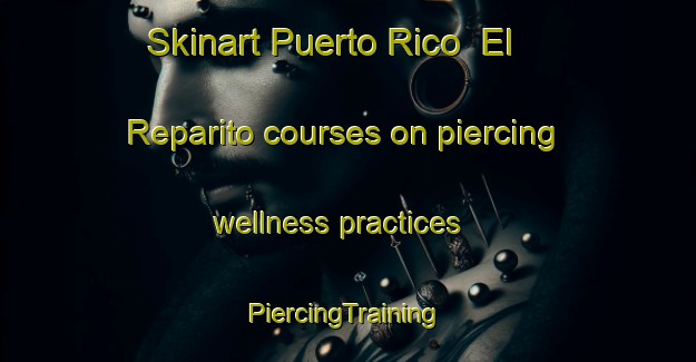 Skinart Puerto Rico  El Reparito courses on piercing wellness practices | #PiercingTraining #PiercingClasses #SkinartTraining-Mexico