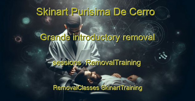 Skinart Purisima De Cerro Grande introductory removal sessions | #RemovalTraining #RemovalClasses #SkinartTraining-Mexico