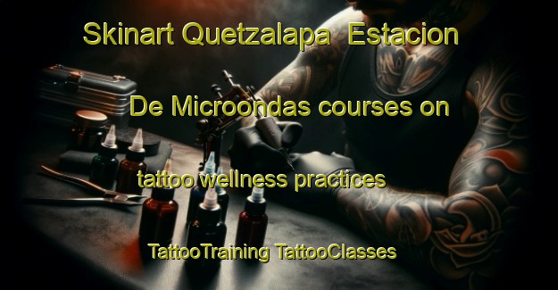 Skinart Quetzalapa  Estacion De Microondas courses on tattoo wellness practices | #TattooTraining #TattooClasses #SkinartTraining-Mexico