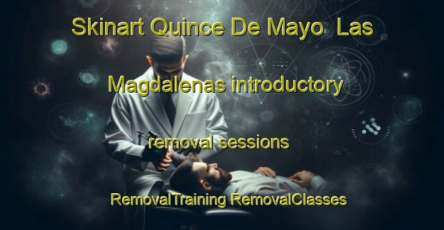 Skinart Quince De Mayo  Las Magdalenas introductory removal sessions | #RemovalTraining #RemovalClasses #SkinartTraining-Mexico