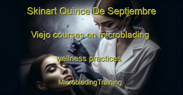 Skinart Quince De Septiembre Viejo courses on microblading wellness practices | #MicrobladingTraining #MicrobladingClasses #SkinartTraining-Mexico