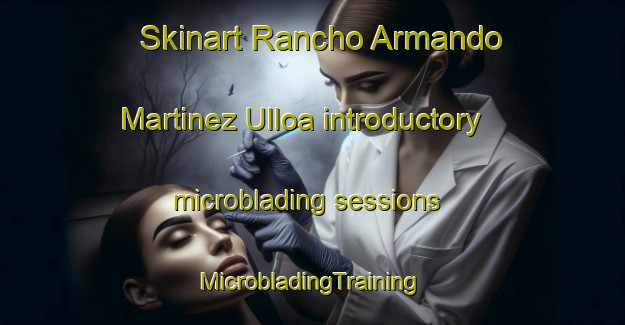 Skinart Rancho Armando Martinez Ulloa introductory microblading sessions | #MicrobladingTraining #MicrobladingClasses #SkinartTraining-Mexico