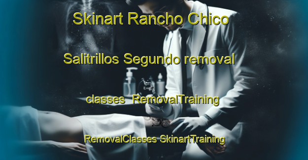 Skinart Rancho Chico  Salitrillos Segundo removal classes | #RemovalTraining #RemovalClasses #SkinartTraining-Mexico