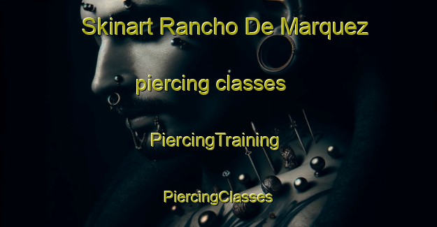 Skinart Rancho De Marquez piercing classes | #PiercingTraining #PiercingClasses #SkinartTraining-Mexico