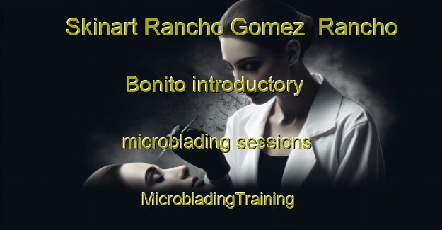 Skinart Rancho Gomez  Rancho Bonito introductory microblading sessions | #MicrobladingTraining #MicrobladingClasses #SkinartTraining-Mexico