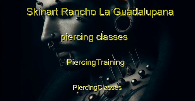 Skinart Rancho La Guadalupana piercing classes | #PiercingTraining #PiercingClasses #SkinartTraining-Mexico