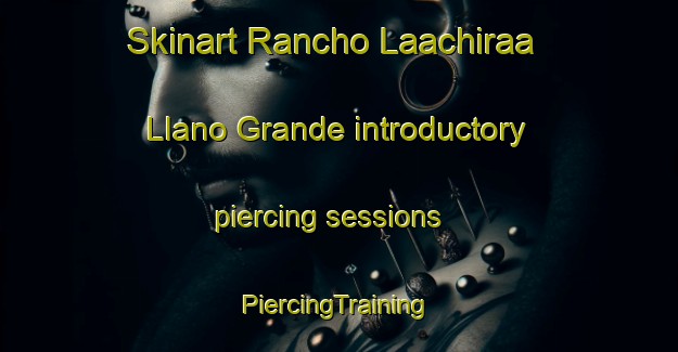 Skinart Rancho Laachiraa  Llano Grande introductory piercing sessions | #PiercingTraining #PiercingClasses #SkinartTraining-Mexico