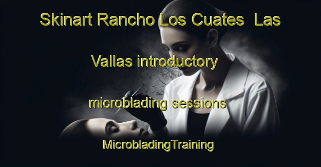 Skinart Rancho Los Cuates  Las Vallas introductory microblading sessions | #MicrobladingTraining #MicrobladingClasses #SkinartTraining-Mexico