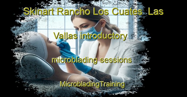 Skinart Rancho Los Cuates  Las Vallas introductory microblading sessions | #MicrobladingTraining #MicrobladingClasses #SkinartTraining-Mexico