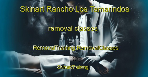 Skinart Rancho Los Tamarindos removal classes | #RemovalTraining #RemovalClasses #SkinartTraining-Mexico