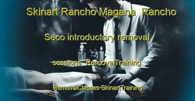 Skinart Rancho Magana  Rancho Seco introductory removal sessions | #RemovalTraining #RemovalClasses #SkinartTraining-Mexico