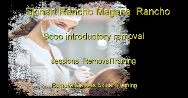 Skinart Rancho Magana  Rancho Seco introductory removal sessions | #RemovalTraining #RemovalClasses #SkinartTraining-Mexico