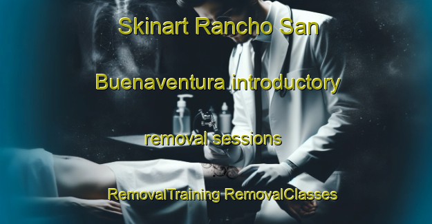 Skinart Rancho San Buenaventura introductory removal sessions | #RemovalTraining #RemovalClasses #SkinartTraining-Mexico