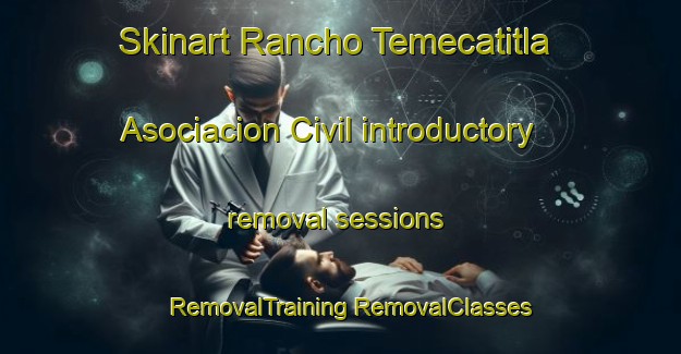 Skinart Rancho Temecatitla Asociacion Civil introductory removal sessions | #RemovalTraining #RemovalClasses #SkinartTraining-Mexico