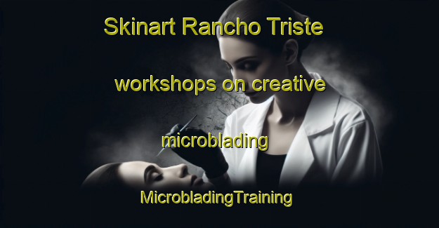 Skinart Rancho Triste workshops on creative microblading | #MicrobladingTraining #MicrobladingClasses #SkinartTraining-Mexico