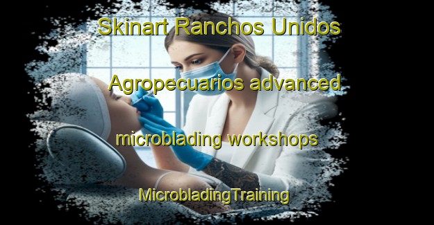 Skinart Ranchos Unidos Agropecuarios advanced microblading workshops | #MicrobladingTraining #MicrobladingClasses #SkinartTraining-Mexico