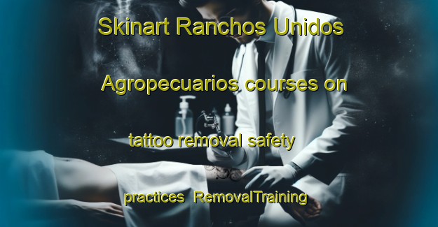 Skinart Ranchos Unidos Agropecuarios courses on tattoo removal safety practices | #RemovalTraining #RemovalClasses #SkinartTraining-Mexico