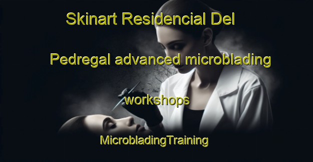 Skinart Residencial Del Pedregal advanced microblading workshops | #MicrobladingTraining #MicrobladingClasses #SkinartTraining-Mexico