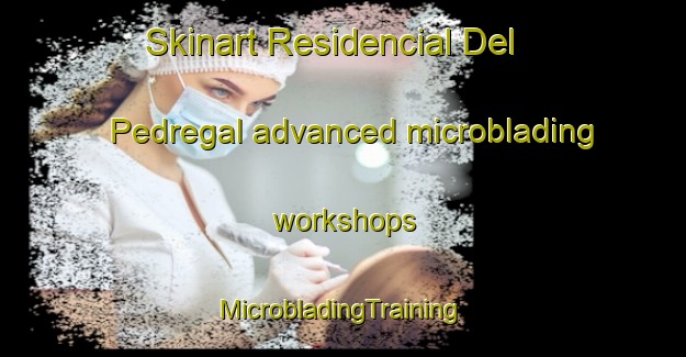 Skinart Residencial Del Pedregal advanced microblading workshops | #MicrobladingTraining #MicrobladingClasses #SkinartTraining-Mexico