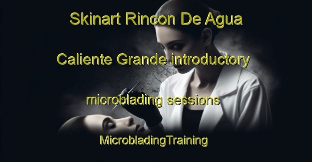 Skinart Rincon De Agua Caliente Grande introductory microblading sessions | #MicrobladingTraining #MicrobladingClasses #SkinartTraining-Mexico