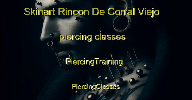 Skinart Rincon De Corral Viejo piercing classes | #PiercingTraining #PiercingClasses #SkinartTraining-Mexico