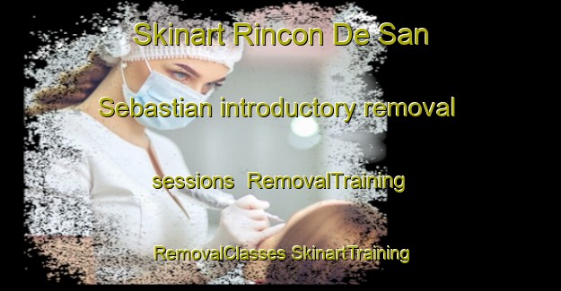 Skinart Rincon De San Sebastian introductory removal sessions | #RemovalTraining #RemovalClasses #SkinartTraining-Mexico