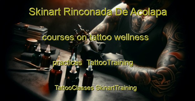 Skinart Rinconada De Acolapa courses on tattoo wellness practices | #TattooTraining #TattooClasses #SkinartTraining-Mexico