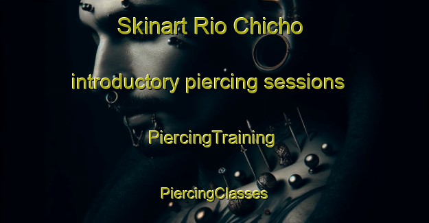 Skinart Rio Chicho introductory piercing sessions | #PiercingTraining #PiercingClasses #SkinartTraining-Mexico