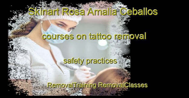 Skinart Rosa Amalia Ceballos courses on tattoo removal safety practices | #RemovalTraining #RemovalClasses #SkinartTraining-Mexico