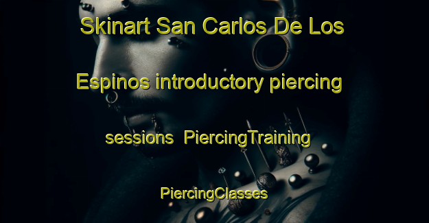 Skinart San Carlos De Los Espinos introductory piercing sessions | #PiercingTraining #PiercingClasses #SkinartTraining-Mexico