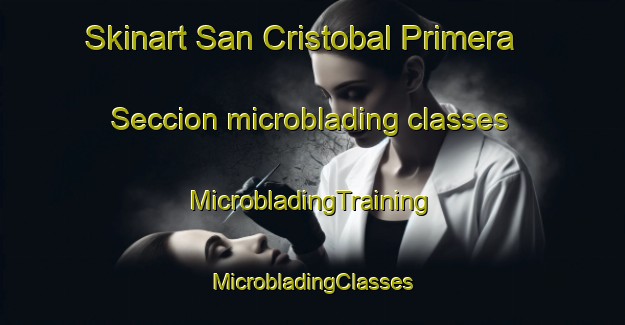 Skinart San Cristobal Primera Seccion microblading classes | #MicrobladingTraining #MicrobladingClasses #SkinartTraining-Mexico