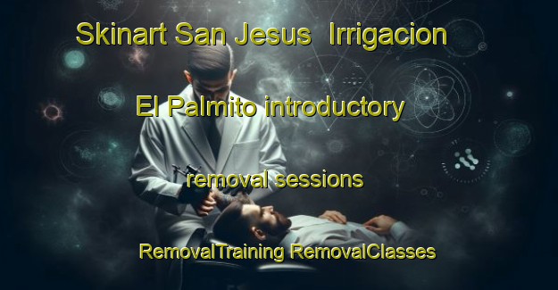 Skinart San Jesus  Irrigacion El Palmito introductory removal sessions | #RemovalTraining #RemovalClasses #SkinartTraining-Mexico