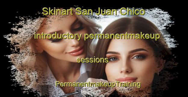 Skinart San Juan Chico introductory permanentmakeup sessions | #PermanentmakeupTraining #PermanentmakeupClasses #SkinartTraining-Mexico