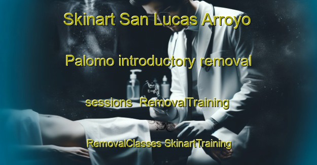 Skinart San Lucas Arroyo Palomo introductory removal sessions | #RemovalTraining #RemovalClasses #SkinartTraining-Mexico