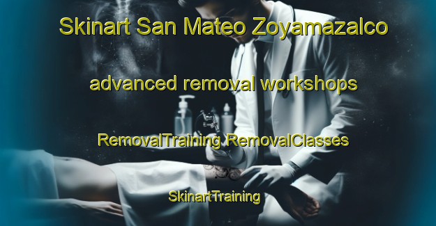 Skinart San Mateo Zoyamazalco advanced removal workshops | #RemovalTraining #RemovalClasses #SkinartTraining-Mexico