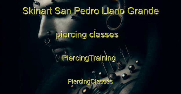 Skinart San Pedro Llano Grande piercing classes | #PiercingTraining #PiercingClasses #SkinartTraining-Mexico