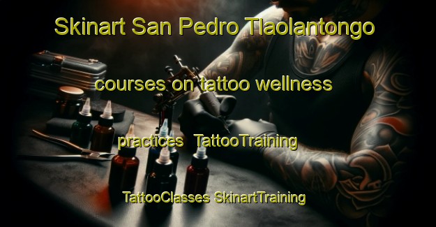 Skinart San Pedro Tlaolantongo courses on tattoo wellness practices | #TattooTraining #TattooClasses #SkinartTraining-Mexico