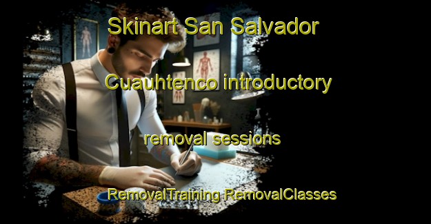 Skinart San Salvador Cuauhtenco introductory removal sessions | #RemovalTraining #RemovalClasses #SkinartTraining-Mexico