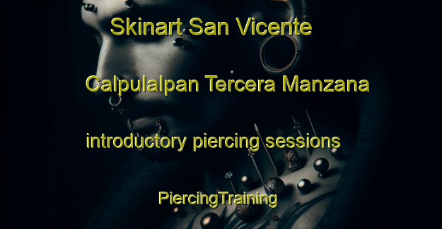 Skinart San Vicente  Calpulalpan Tercera Manzana introductory piercing sessions | #PiercingTraining #PiercingClasses #SkinartTraining-Mexico