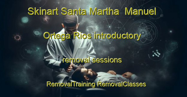 Skinart Santa Martha  Manuel Ortega Rios introductory removal sessions | #RemovalTraining #RemovalClasses #SkinartTraining-Mexico