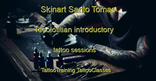 Skinart Santo Tomas Tecolotitian introductory tattoo sessions | #TattooTraining #TattooClasses #SkinartTraining-Mexico