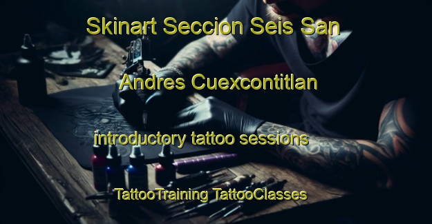 Skinart Seccion Seis San Andres Cuexcontitlan introductory tattoo sessions | #TattooTraining #TattooClasses #SkinartTraining-Mexico