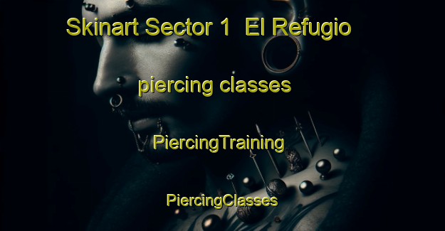 Skinart Sector 1  El Refugio piercing classes | #PiercingTraining #PiercingClasses #SkinartTraining-Mexico