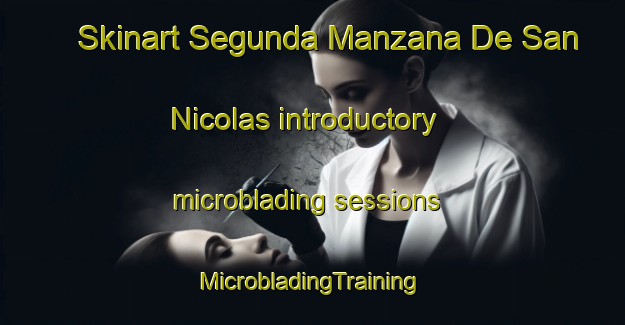 Skinart Segunda Manzana De San Nicolas introductory microblading sessions | #MicrobladingTraining #MicrobladingClasses #SkinartTraining-Mexico