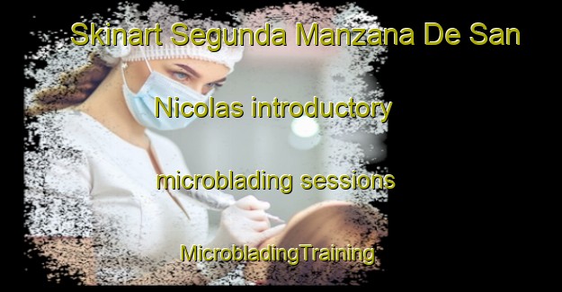 Skinart Segunda Manzana De San Nicolas introductory microblading sessions | #MicrobladingTraining #MicrobladingClasses #SkinartTraining-Mexico